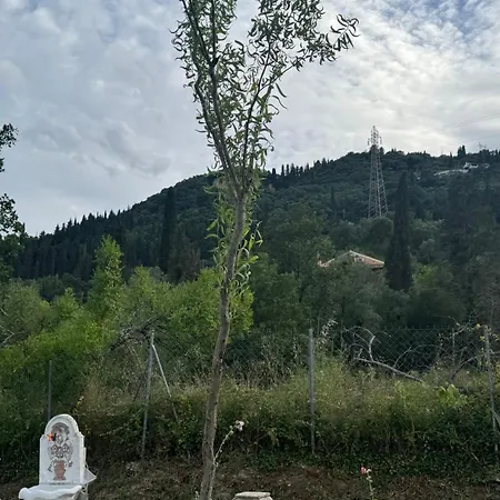 Stnicholas Ranch Corfu Wild 2 *